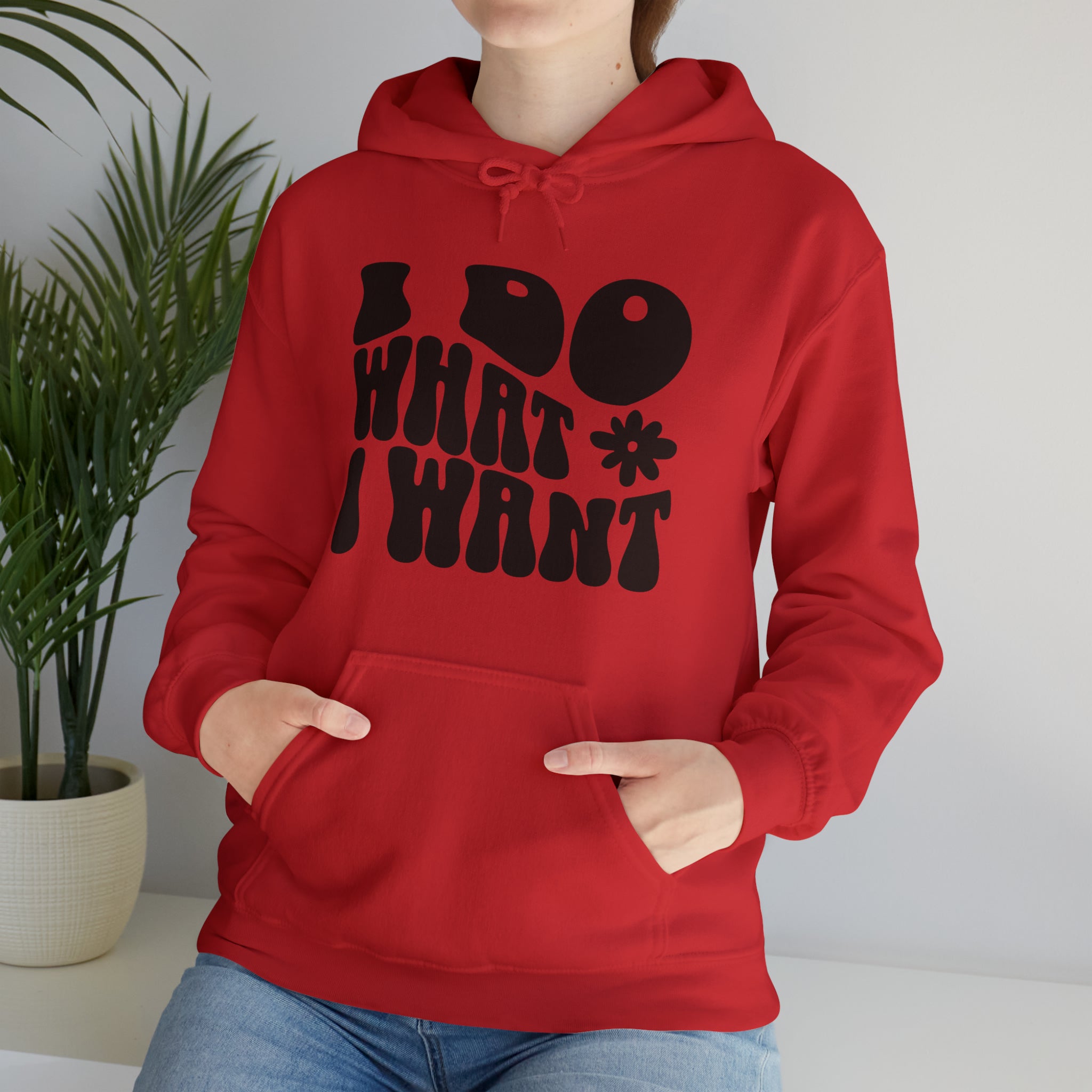 I DO WHAT I WANT Hoodie - Image 1